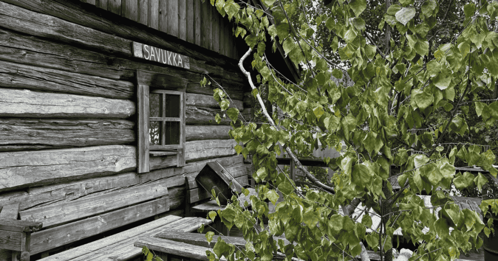 A traditional Finnish log smoke sauna named Savukka, with weathered timber walls and a green birch tree at the entrance, by the lake Käränkälampi in Koli, Eastern Finland.